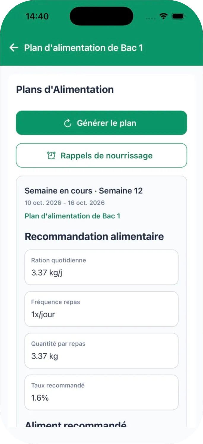Plan d’alimentation de la semaine : ration quotidienne, fréquence et quantité par repas