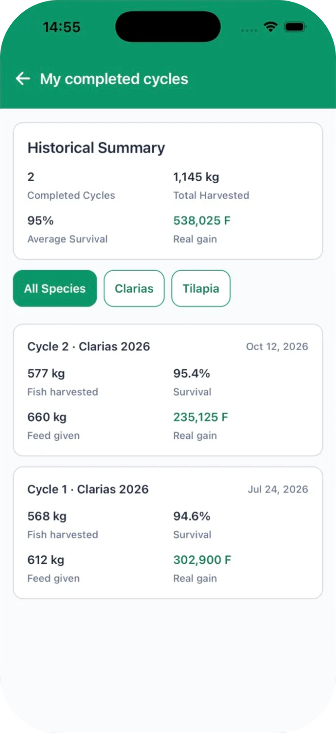 My completed cycles: fish harvested, survival and real profit for each cycle